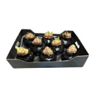 Wachsamaryllis schwarz