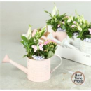 Pflanzenmix in Gießkanne