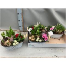 Frühlingsmix in Blechschale-oval weiß