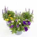 Sommerblumen Trio