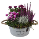 bepflanzte Blechschale-Flowers