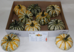 Cucurbita "Pumk-Ke-Mon"