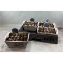 Muscari in Holzkasten weiß