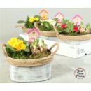 Frühlingsmix in Holzschale oval