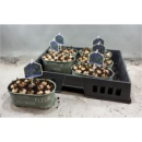 Muscari in Blechschale grün