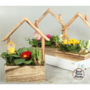 Frühlingsmix im "Holzhaus"