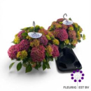 Hydrangea "Table-Tensia" fliederpink