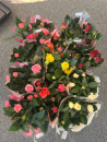 Rosen Mix