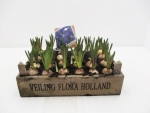 Muscari in Holzkasten "Veiling"