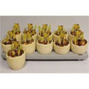 Narzissen in Ei creme