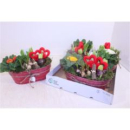 Frühlingsmix in Blechschale-oval in pink