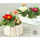 Frühlingsmix in Holzschale rund