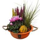 bepflanzte  Blechschale orange