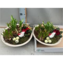 Frühlingsmix in Blechschale