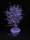 Corokia gefärbt Lila + Glitter Schale