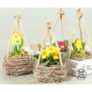 Frühlingsmix in Strohkorb