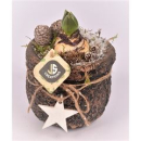 Hyazinthus in Betontopf