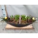 Zwiebelmix in Schiffchen auf Holzbrett